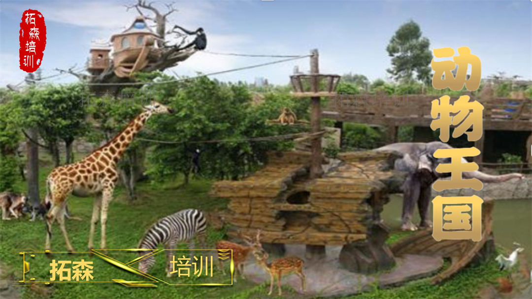 動物王國