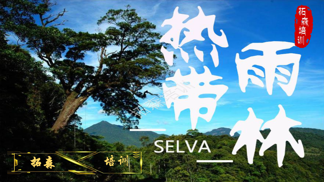 热带雨林